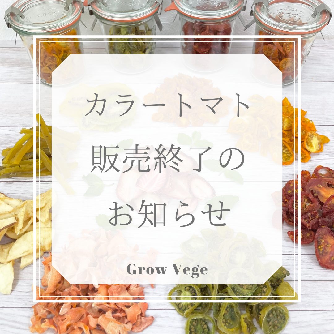 カラートマト販売終了のお知らせ 公式サイト Grow Vege グローベジ 国産 無添加にこだわったfamdry製品